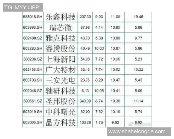 深圳排球队在世界锦标赛中的个人能力表现分析与点评