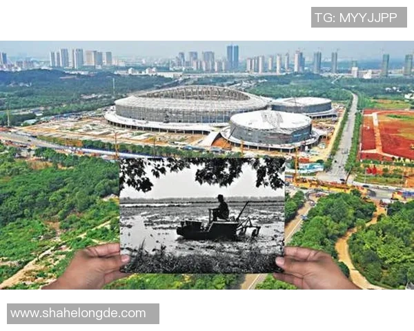 武汉乒乓球队运营策略分析及其对地方体育发展的影响探讨 武汉乒乓球队运营策略分析及其对地方体育发展的影响探讨