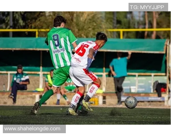 深入探讨上海篮球队在比赛中速度表现的关键数据分析与战术影响