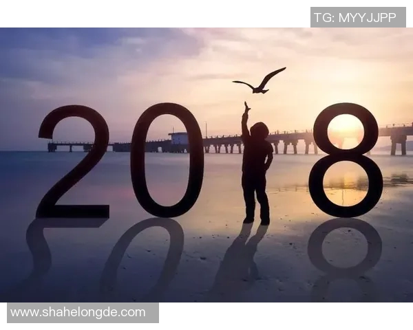 王丽的乒乓球人生深度对话:从小球场到世界舞台的奋斗与梦想 王丽的乒乓球人生深度对话:从小球场到世界舞台的奋斗与梦想