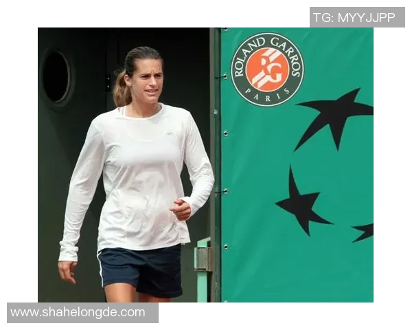 网球团队协作实力排行榜揭晓各队表现一览无遗