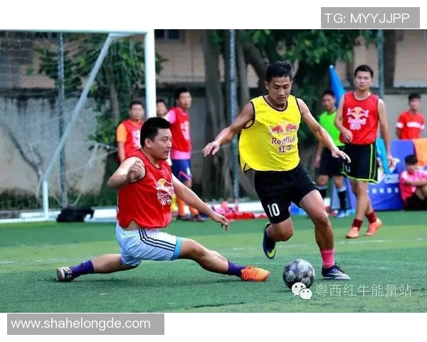 重庆排球队耐力问题引发热议球迷观点各异探讨训练与比赛的平衡