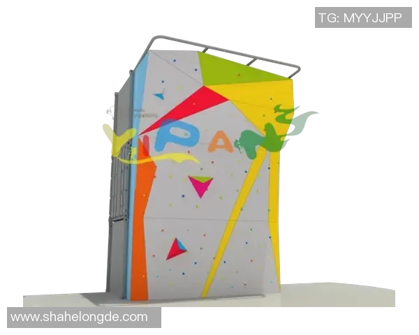 从零基础到高手之路：全面解析攀岩战术与技巧的实用指南