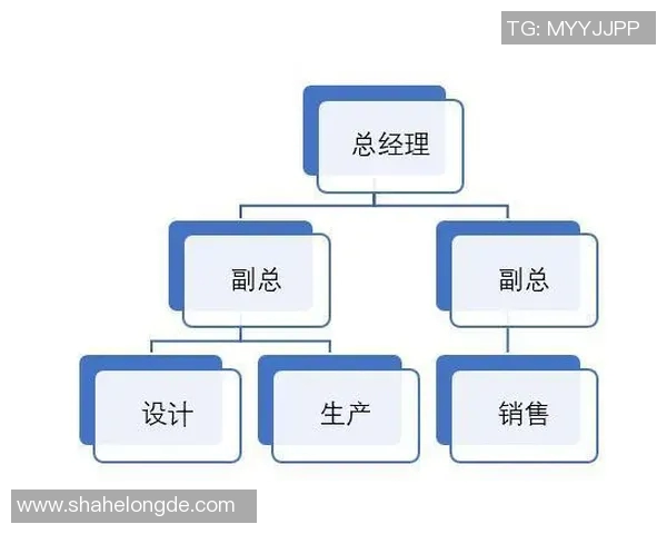 深圳排球队的转型之路:深度解析排球运动的变革与发展 深圳排球队的转型之路:深度解析排球运动的变革与发展