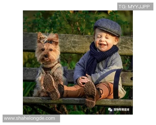 足球明星与爱犬的欢乐时光精彩瞬间集锦视频分享 足球明星与爱犬的欢乐时光精彩瞬间集锦视频分享