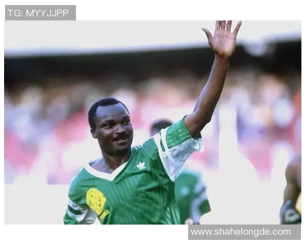 喀麦隆足球明星阿迪的传奇之路与辉煌成就揭秘