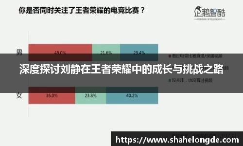 深度探讨刘静在王者荣耀中的成长与挑战之路