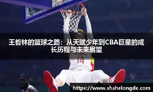 OD体育平台